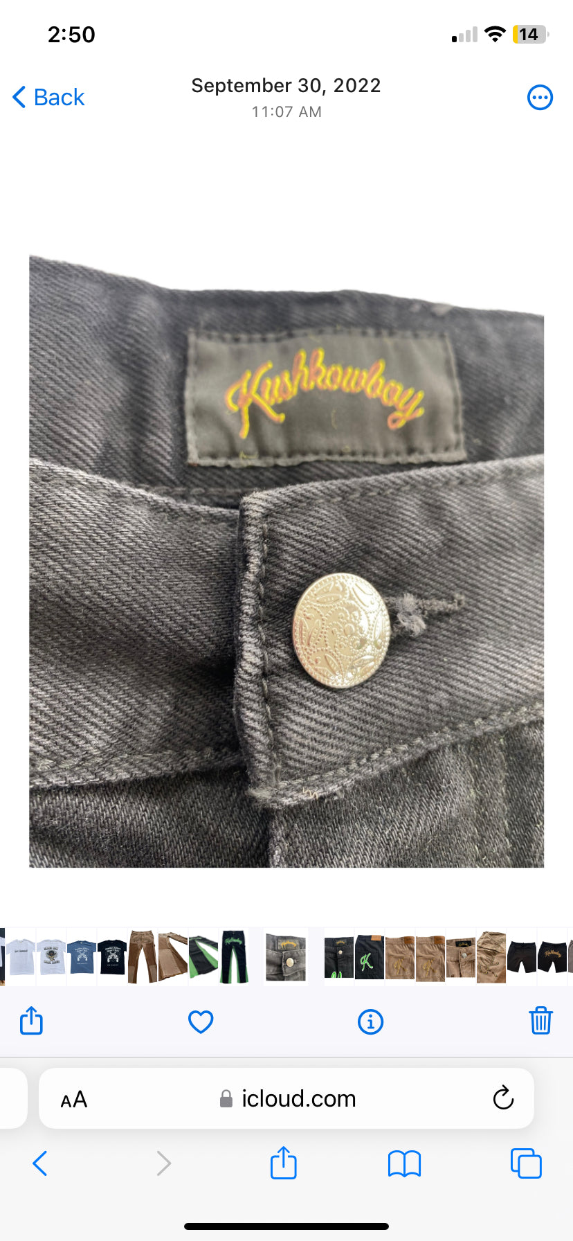 Kushkowboy Flare Jeans